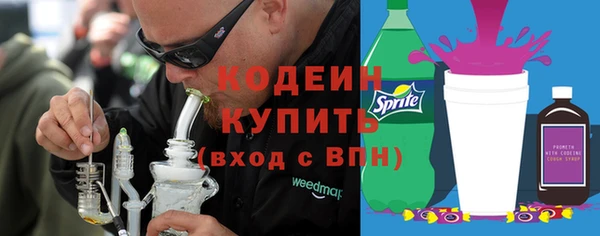 mdpv Бородино