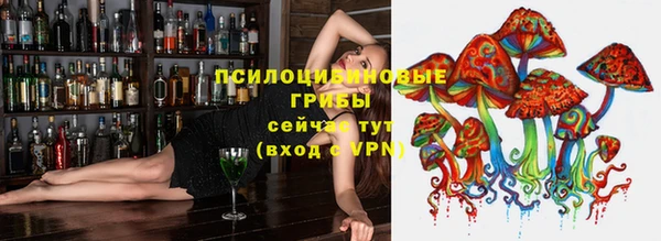 mdpv Бородино