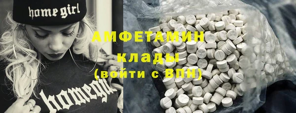 mdpv Бородино