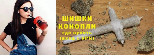 mdpv Бородино